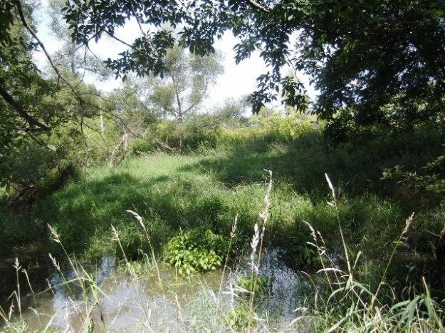 Glenwillow, Land Conservancy create park along Tinker’s Creek