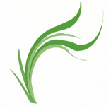 Tinker's Creek Logo Plant