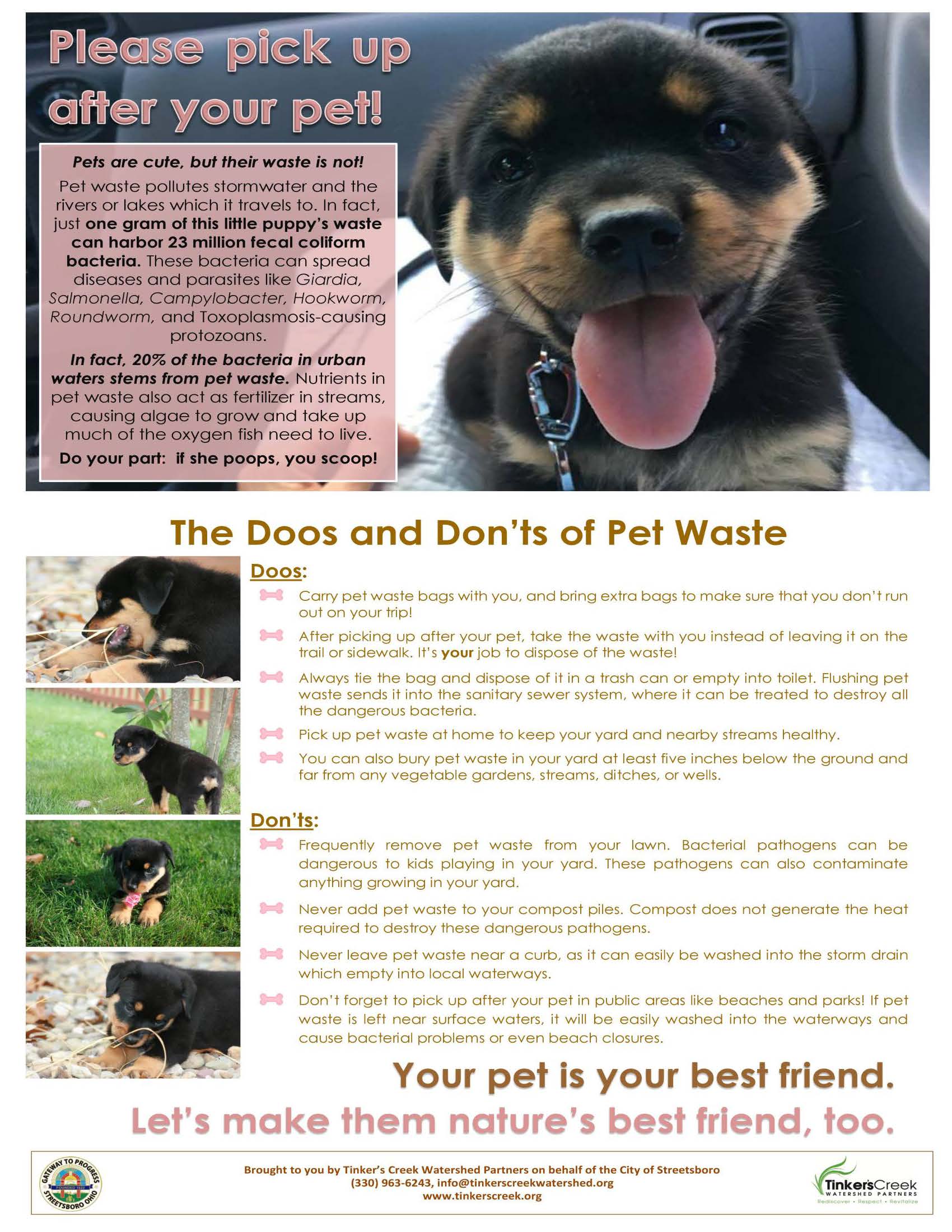 PetWasteFlyer