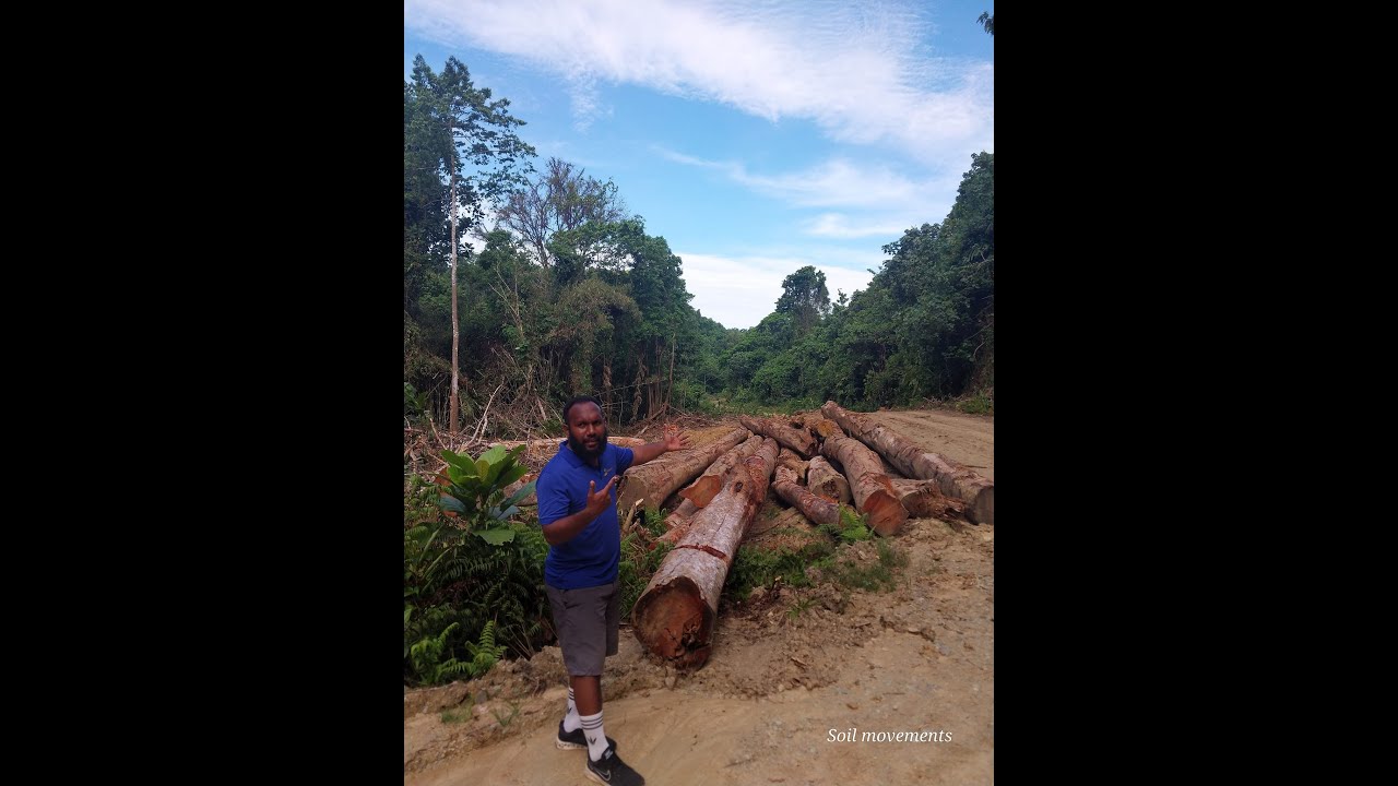 Discover Resilience Across Oceans: Clean Water & Reforestation
