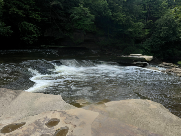 Ohio could lose Clean Water Act protections for 96% of wetlands and streams under proposed EPA rule