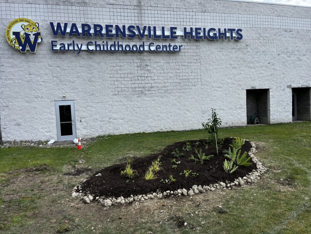 Finished Rain Garden
