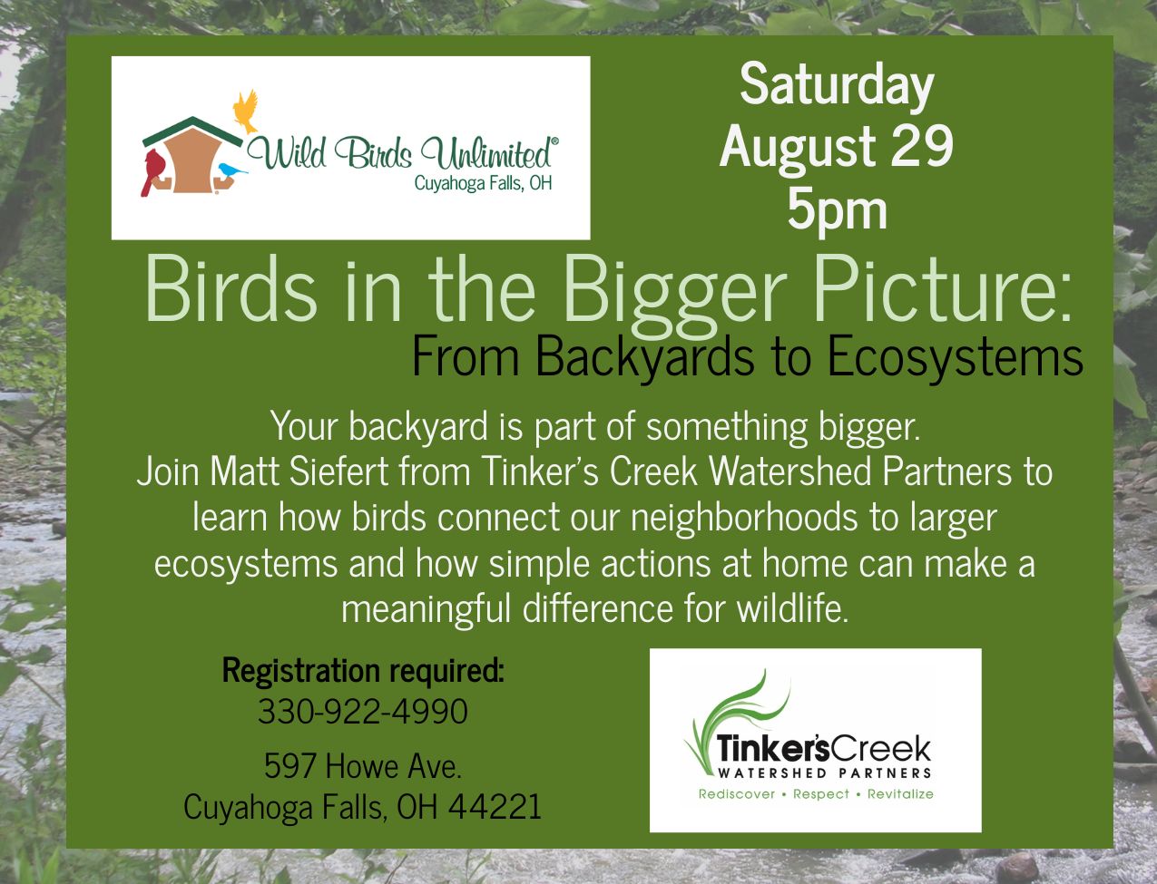 Birds in the Bigger Picture: From Backyards to Ecosystems